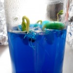 blue 02500px